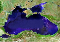 Рыба в Черном море