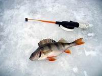 Рассказывается о том, что необходимо на зимней рыбалке настоящему рыбаку