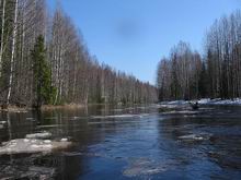 Ситуация на реках Беларуси
